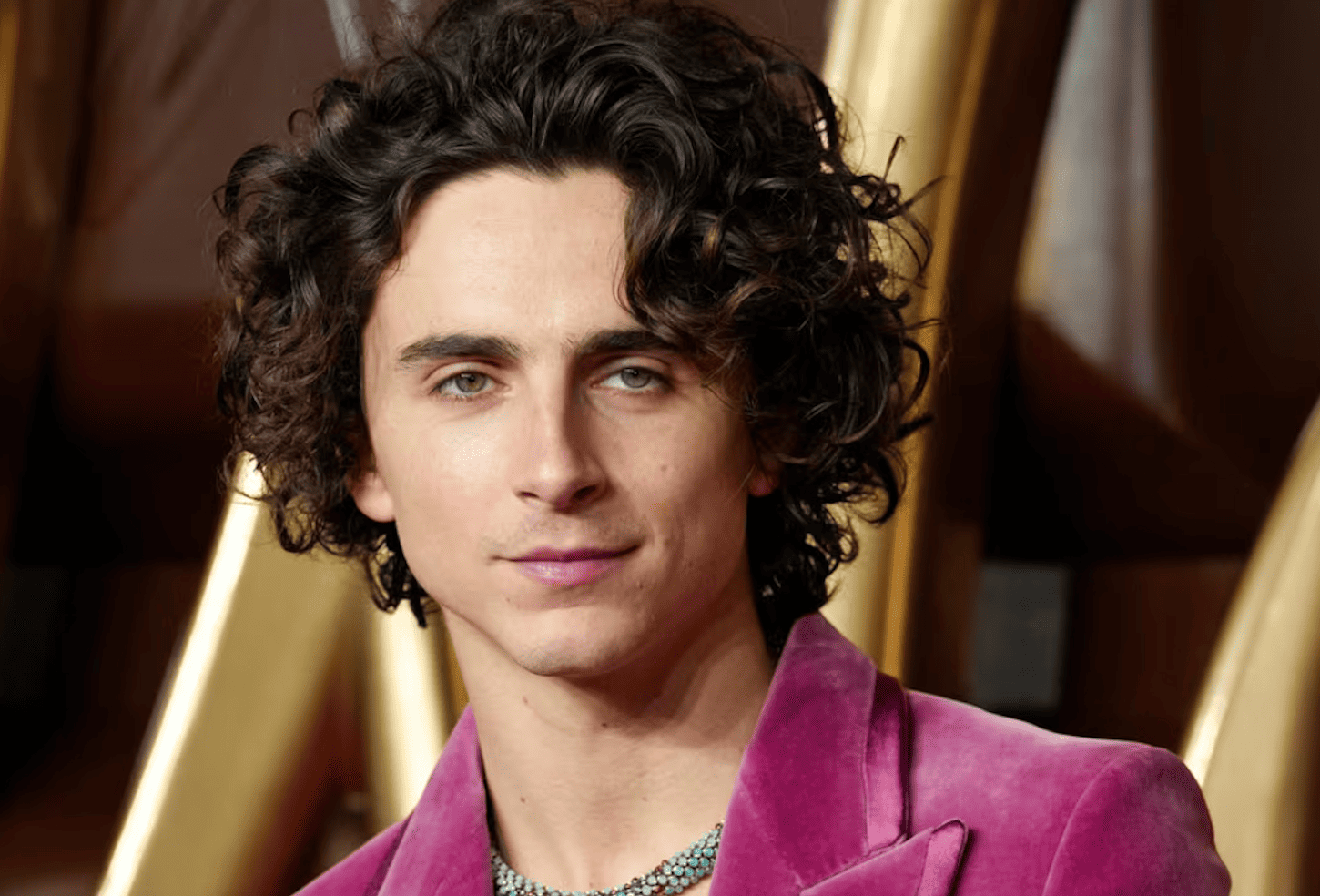 timothée chalamet